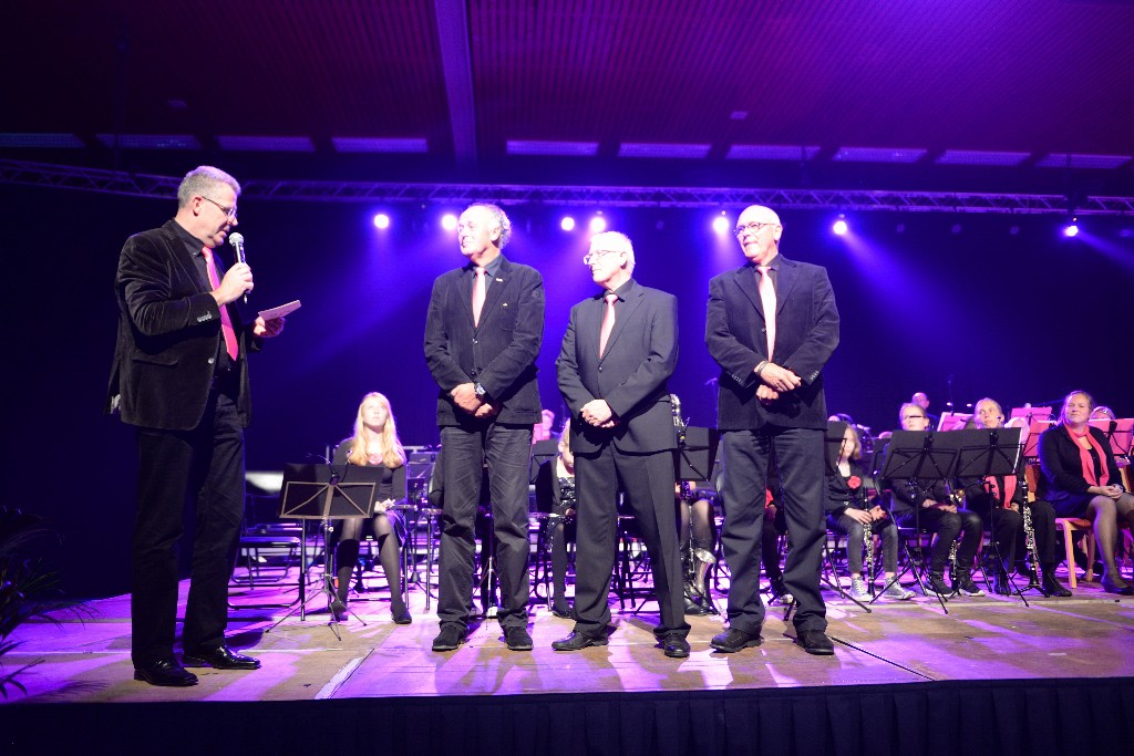 ../Images/Jubileumconcert 100 jaar Harpe Davids 153.jpg